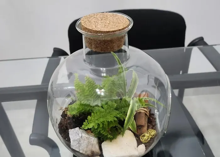 Downtown & Universita 2 Stanze Letto *